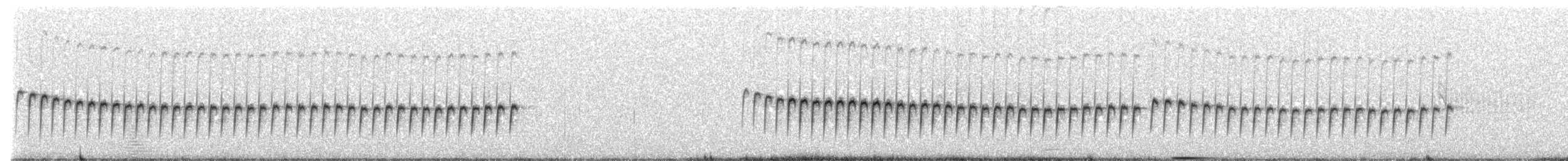 Common Babbler - ML647170380