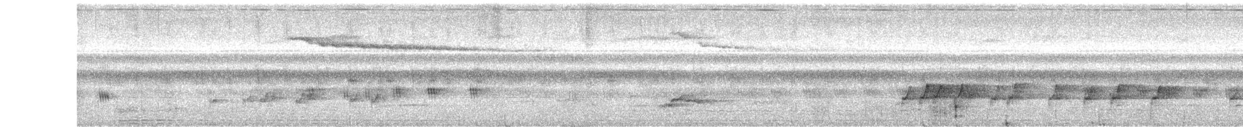 blåalvefugl - ML647170643