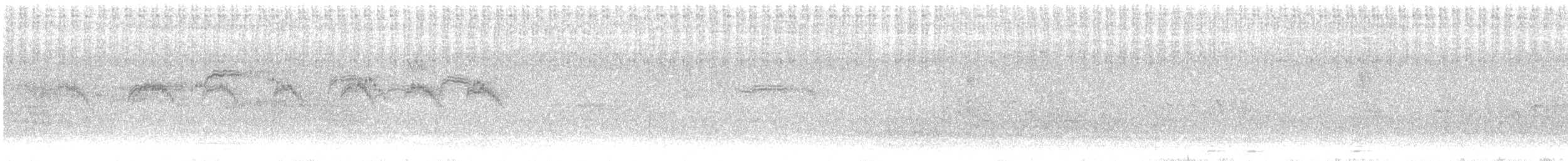 Common Swift - ML647170959