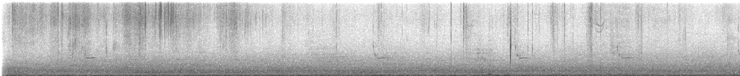 Cucarachero de Carolina - ML647171149