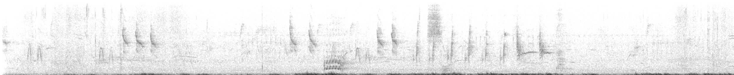 Carricero Común (Africano) - ML647171572