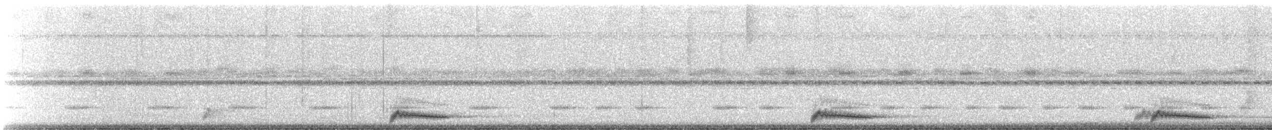 Chotacabras Ocelado - ML647171623