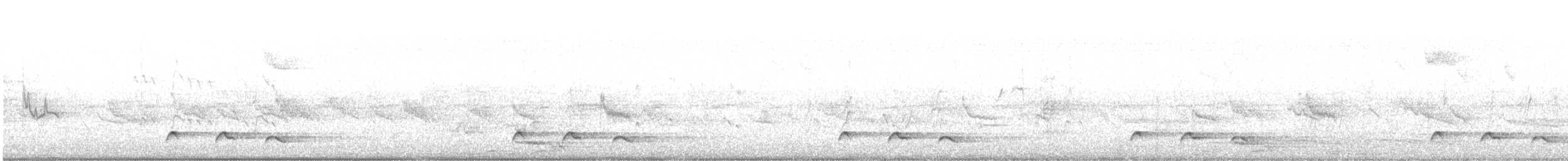 Cuco Solitario - ML647171748