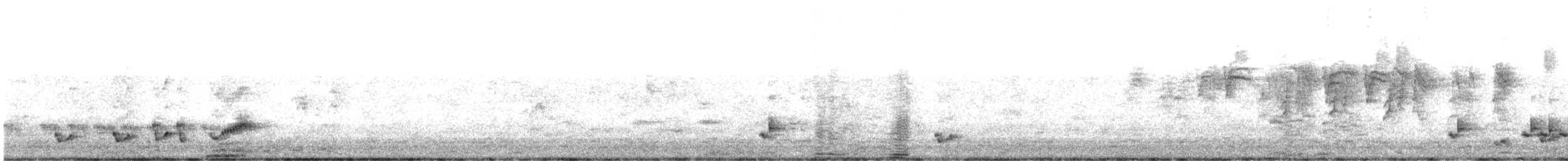 Carricero Picofino - ML647171837