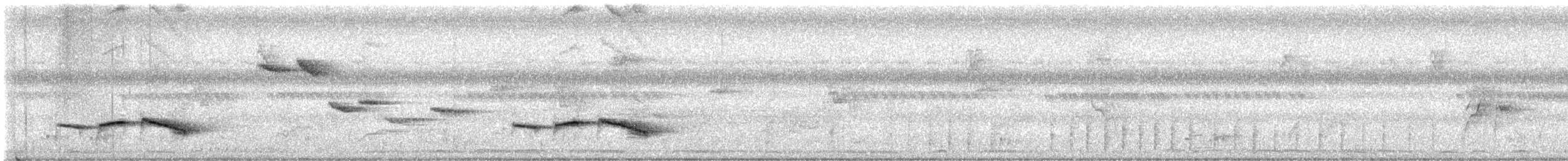 Tordina Pechiestriada - ML647171878