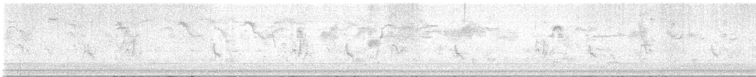 Gorrión Común - ML647171881