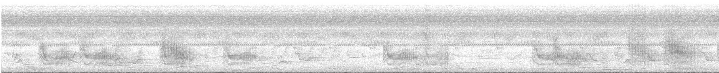 Cubla Dorsinegra - ML647172344