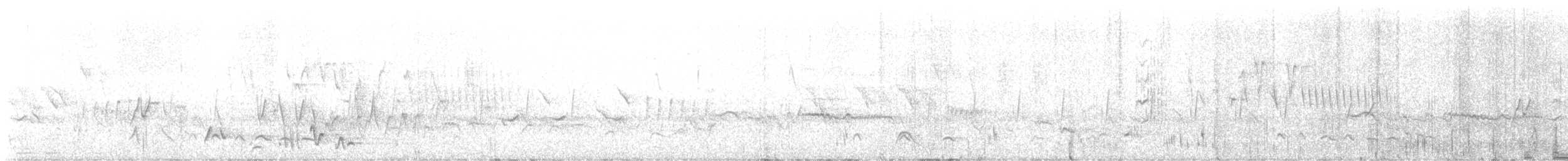 Conquistador Oriental - ML647172622