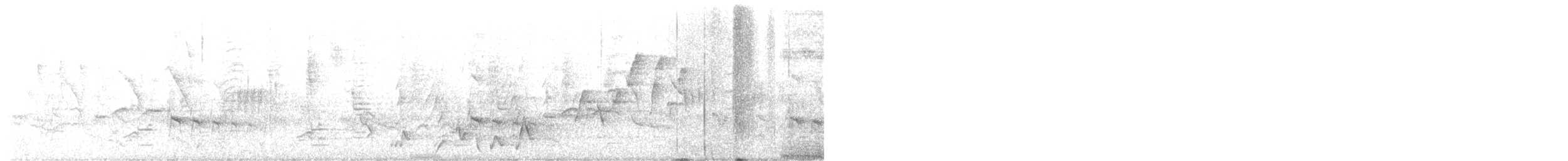 Conquistador Oriental - ML647172623