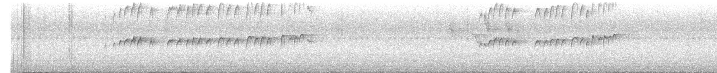 Tirano Melancólico - ML647172710