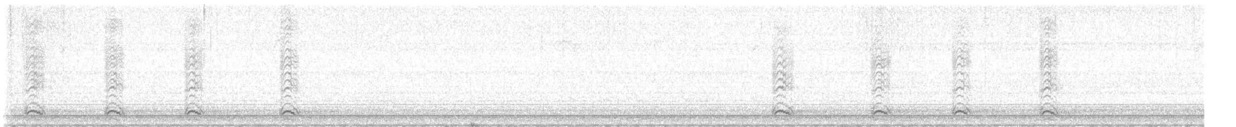 Cuervo Americano - ML647172817