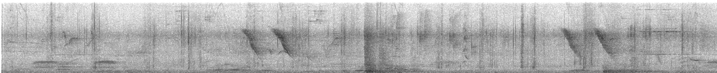 Lavandera India - ML647173177