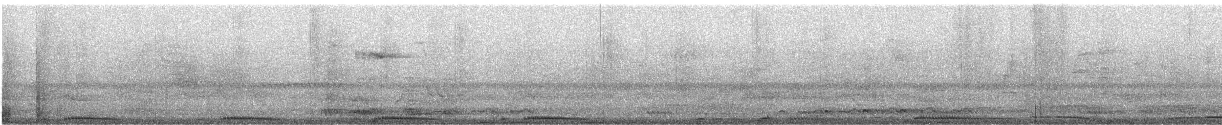 Spotted Dove - ML647174258