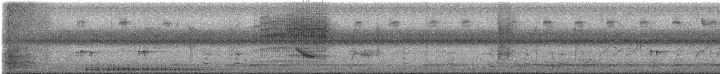 Carolina Wren - ML647174687