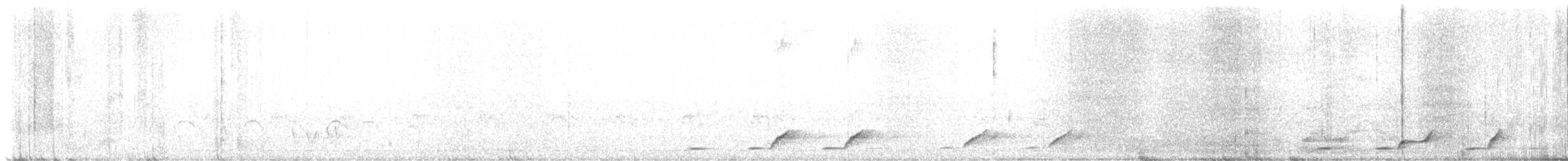 Four-colored Bushshrike (Four-colored) - ML647174719