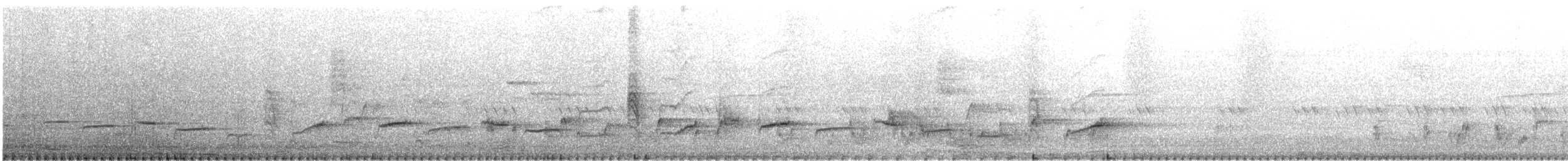 White-rumped Shama - ML647174795