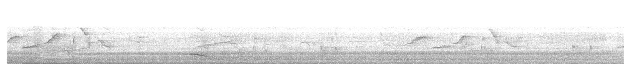 Black-naped Oriole - ML647174796