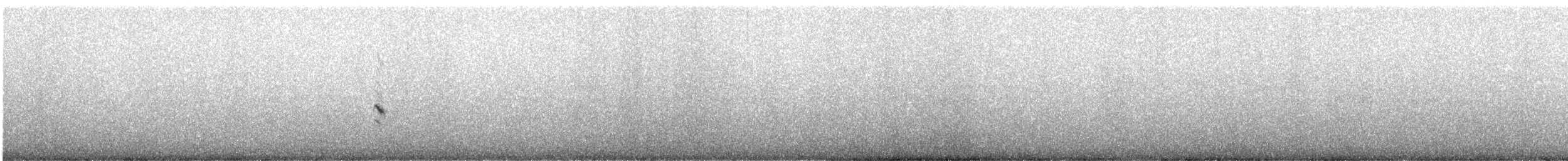 bělořit šedý (ssp. oenanthe/libanotica) - ML647175380