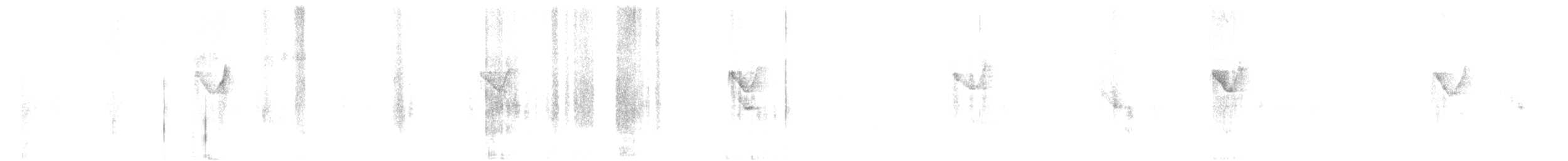 Yellow-browed Warbler - ML647175495