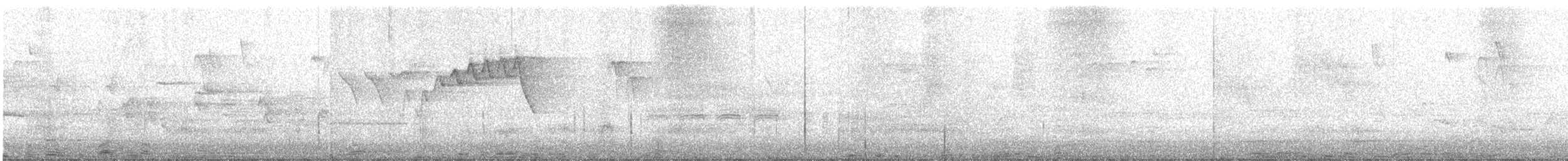 סבכון חכלילי - ML647175866