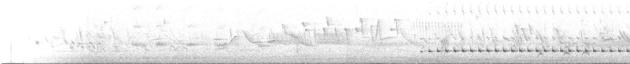 Zeytin Tepeli Hilalgerdan - ML647176897