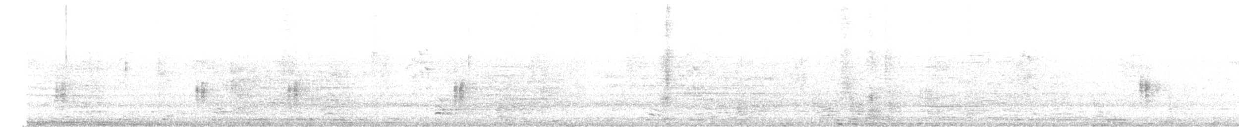 シロガシラ - ML647176912