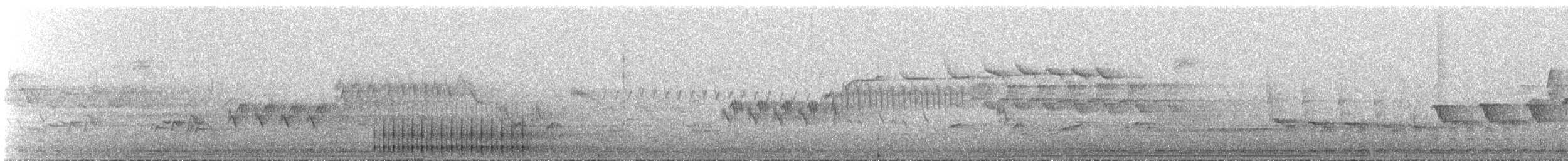 Pico Pubescente/Velloso - ML647177069