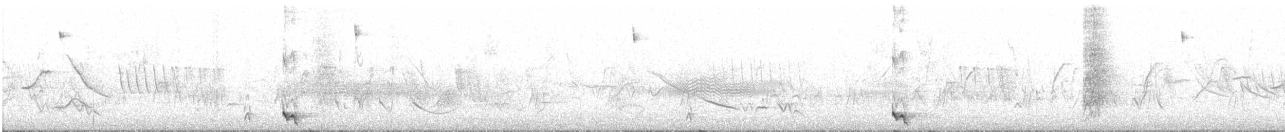 Crested Gallito - ML647177209