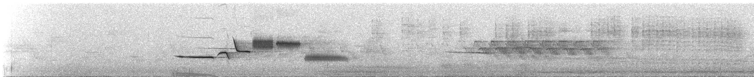 Chingolo Coroniblanco - ML647177436