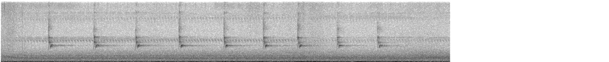 Cucarachero de Carolina - ML647177481