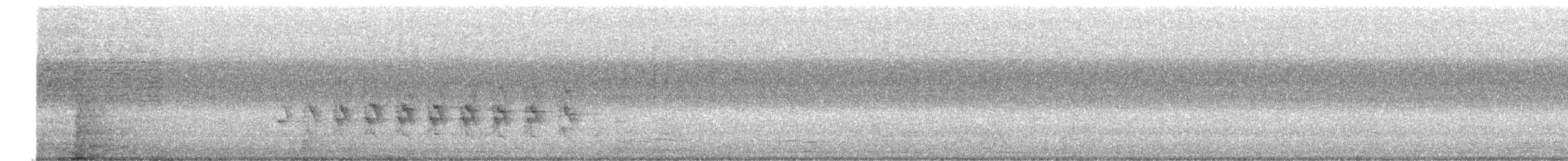 ホンセイインコ - ML647177694