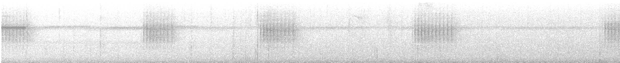 Scalloped Antbird - ML647177912