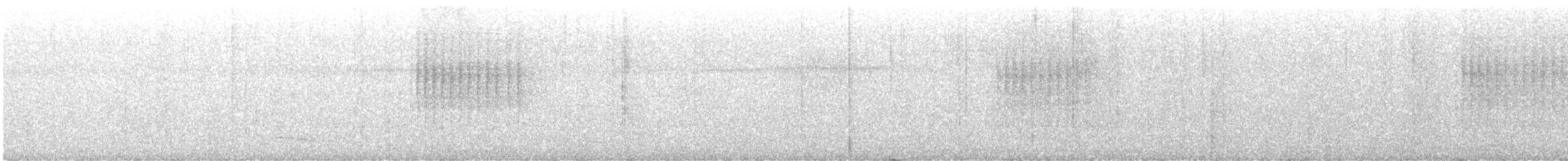 Scalloped Antbird - ML647177913