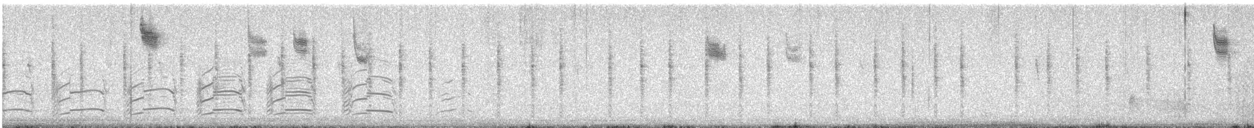 Болотная зонотрихия - ML647177944