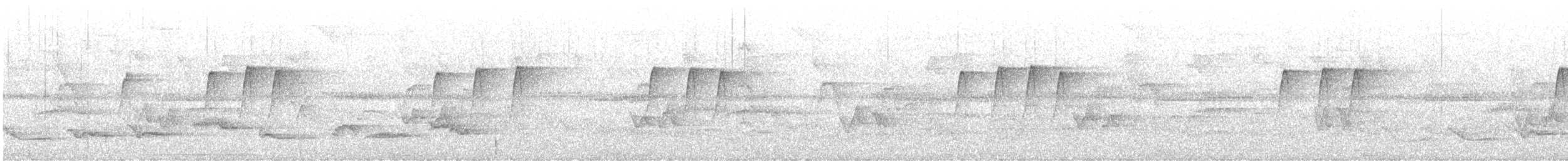 Рыжеватый долотоклюв - ML647177945