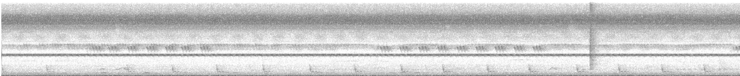 Large-tailed Nightjar - ML647178223