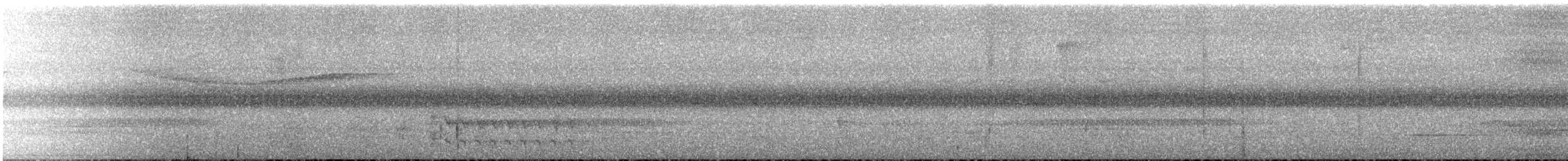 White-crowned Tapaculo - ML647178304