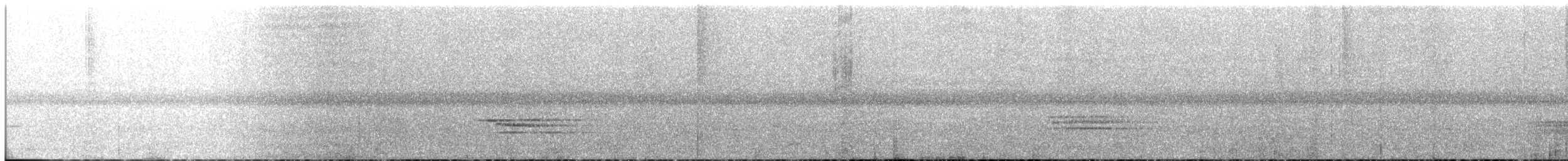 Speckled Nightingale-Thrush - ML647178371