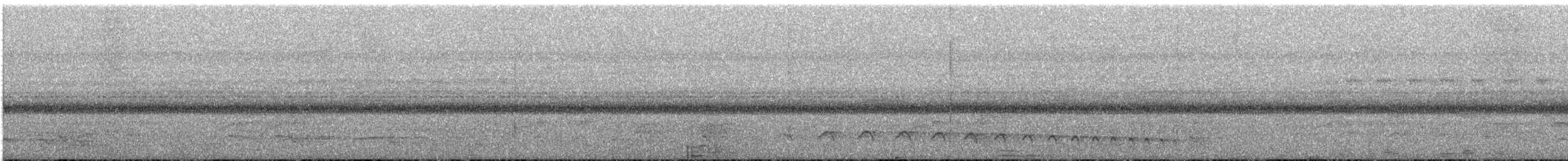 Yungas Long-tailed Woodcreeper (undescribed form) - ML647178818