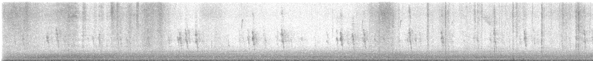 Northern Mockingbird - ML647178994