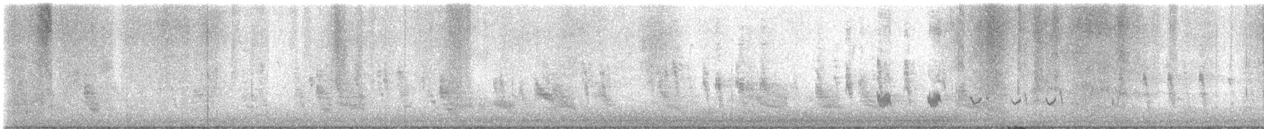 Northern Mockingbird - ML647179028