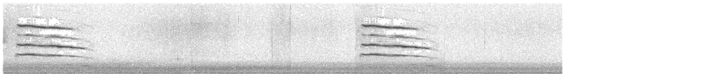 Western Barn Owl - ML647179144