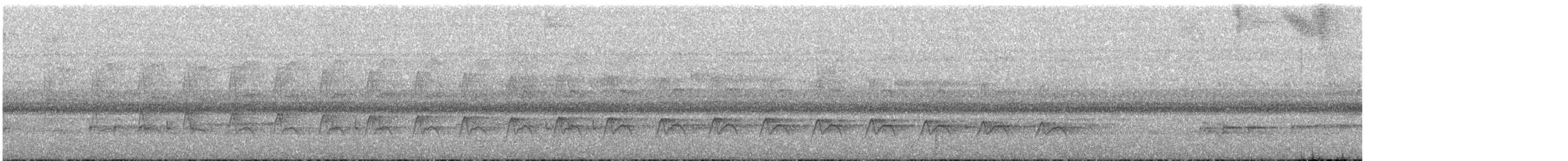 Yungas Long-tailed Woodcreeper (undescribed form) - ML647179231