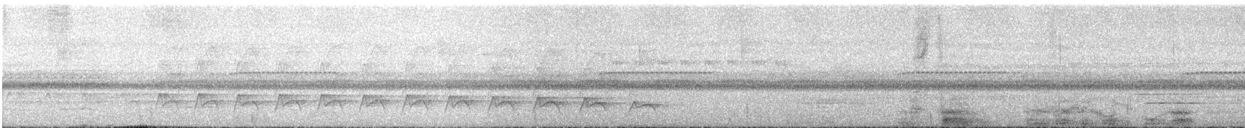 Yungas Long-tailed Woodcreeper (undescribed form) - ML647179235