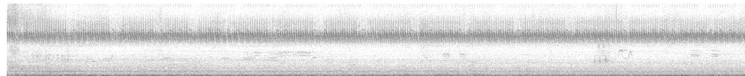 Spotted Dove - ML647179322