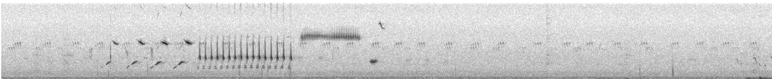 カタジロクロシトド - ML647179633