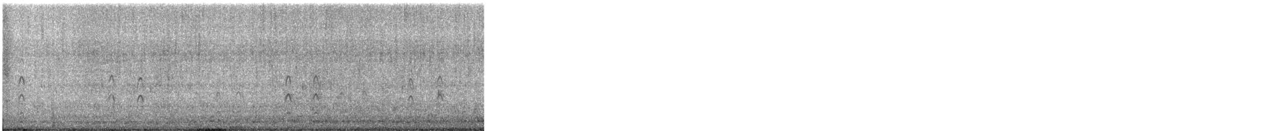 Antarctic Tern - ML647180454