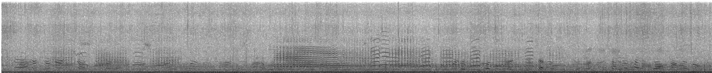 Gentoo Penguin - ML647180513