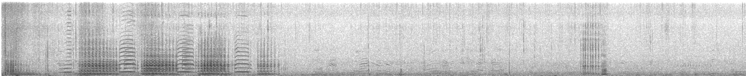 Gentoo Penguin - ML647180548