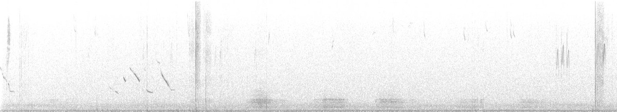 Çihuahua Tarlasığırcığı - ML647181513